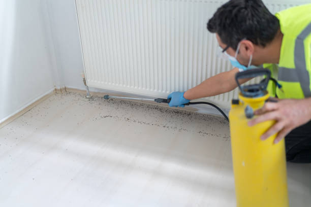 Best Ant Control Services  in West Springfield, VA